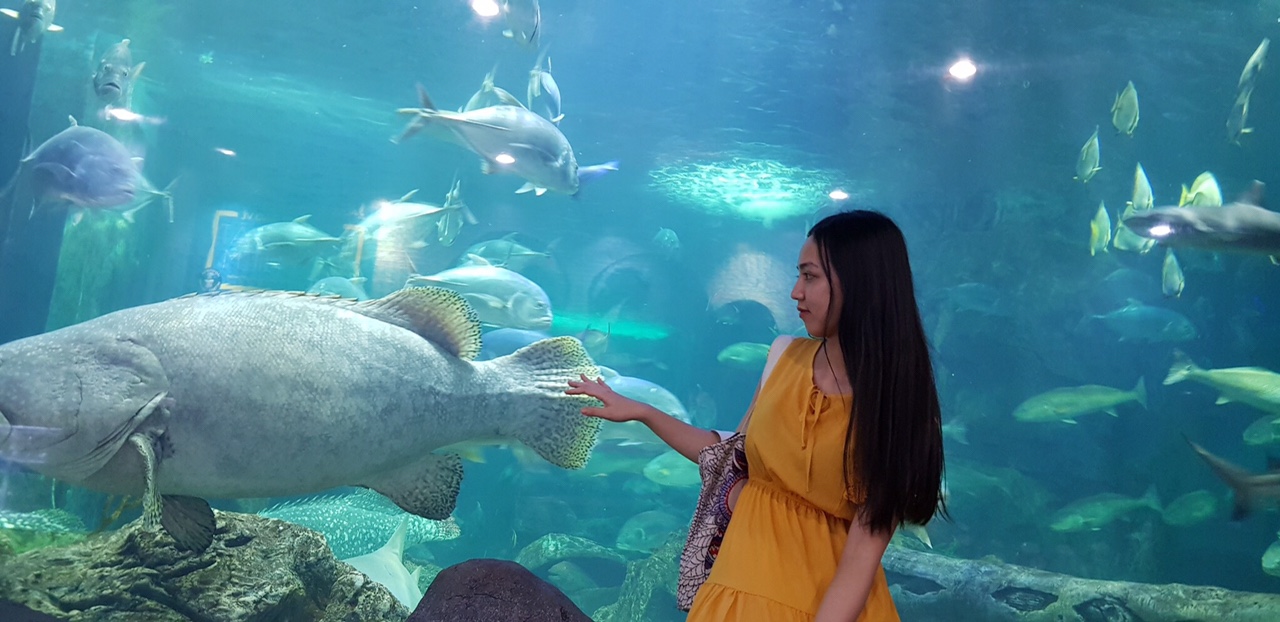 giá vé thủy cung Timescity Hà Nội