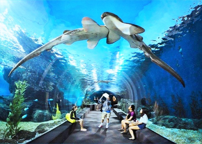 Vinpearl land timescity Hà Nội