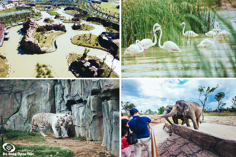 tour vinwonders nam hội an safari